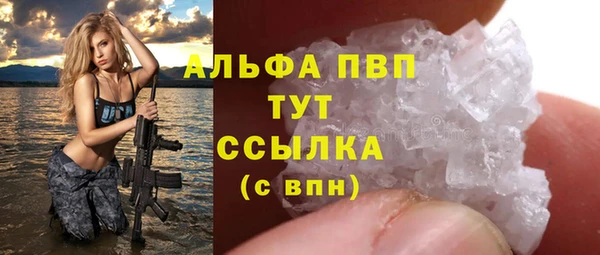 прущие грибы Артём