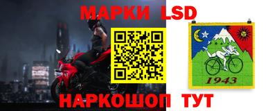 гашик Донской