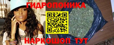 МДПВ Дубна