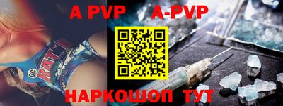 гашик Донской
