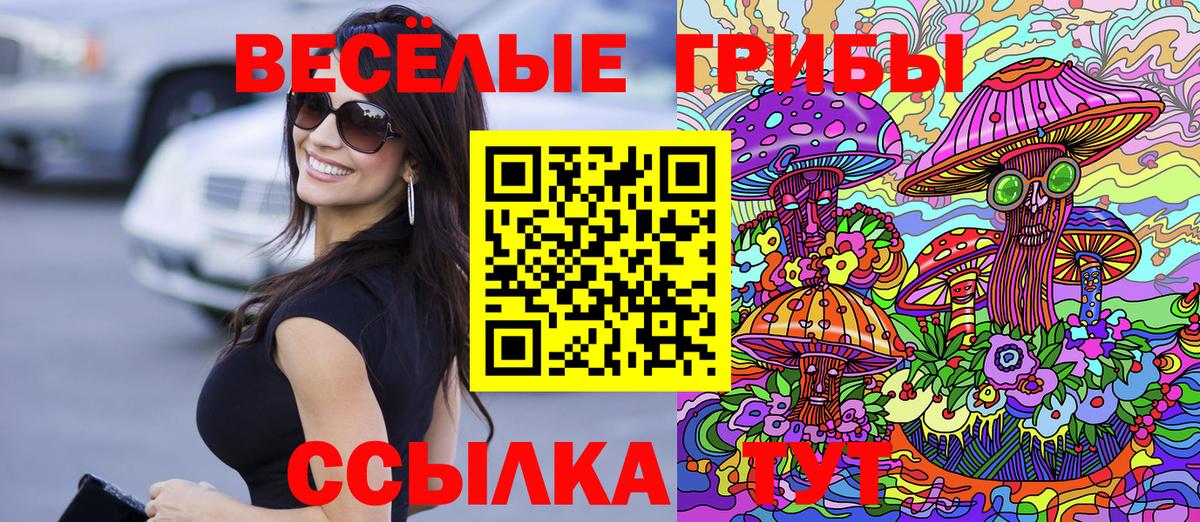 Псилоцибиновые грибы Psilocybe  Еманжелинск  Галлюциногенные грибы прущие грибы 