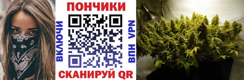 Шишки марихуана сатива  наркота  ОМГ ОМГ tor  Еманжелинск 